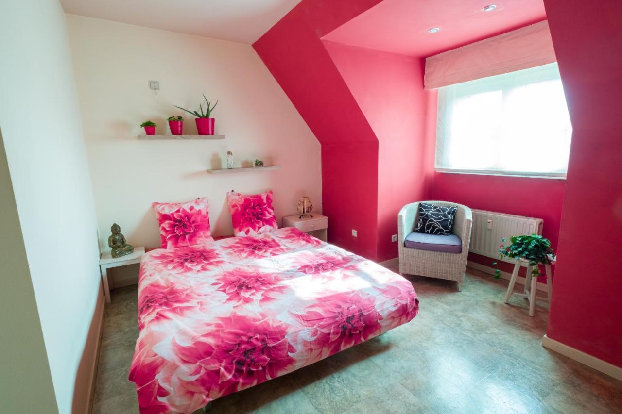 Shamballa B & B/ Logies Deinze Εξωτερικό φωτογραφία